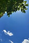 蓝天