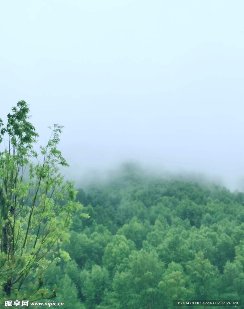 雨中山林