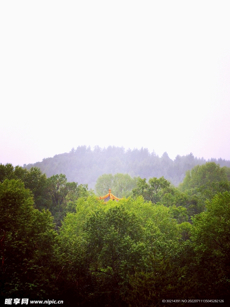 雨中山林