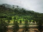 山林