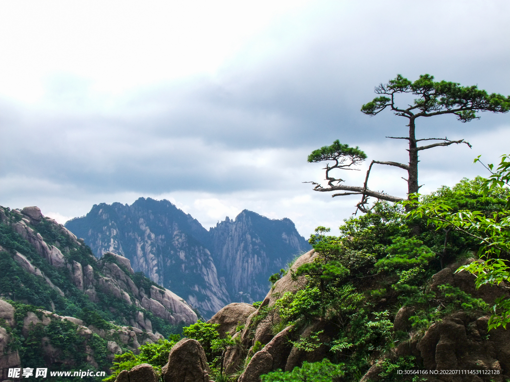 户外山峰山脉迎客松