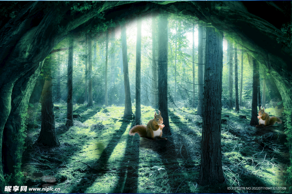 森林创意海报图片