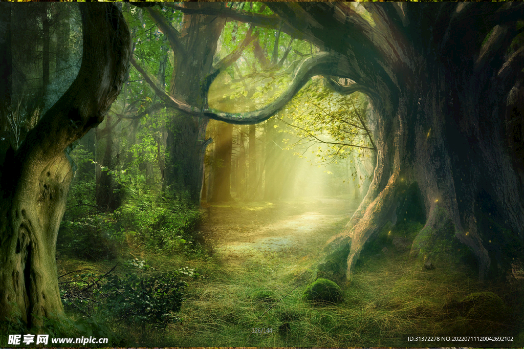 森林创意海报图片