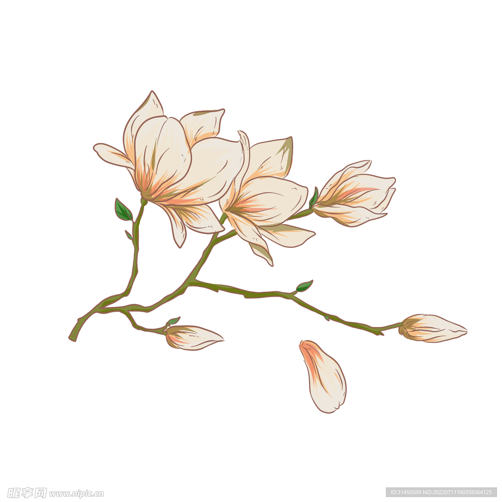 绘画花