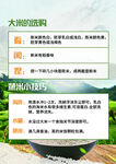 大米的选购