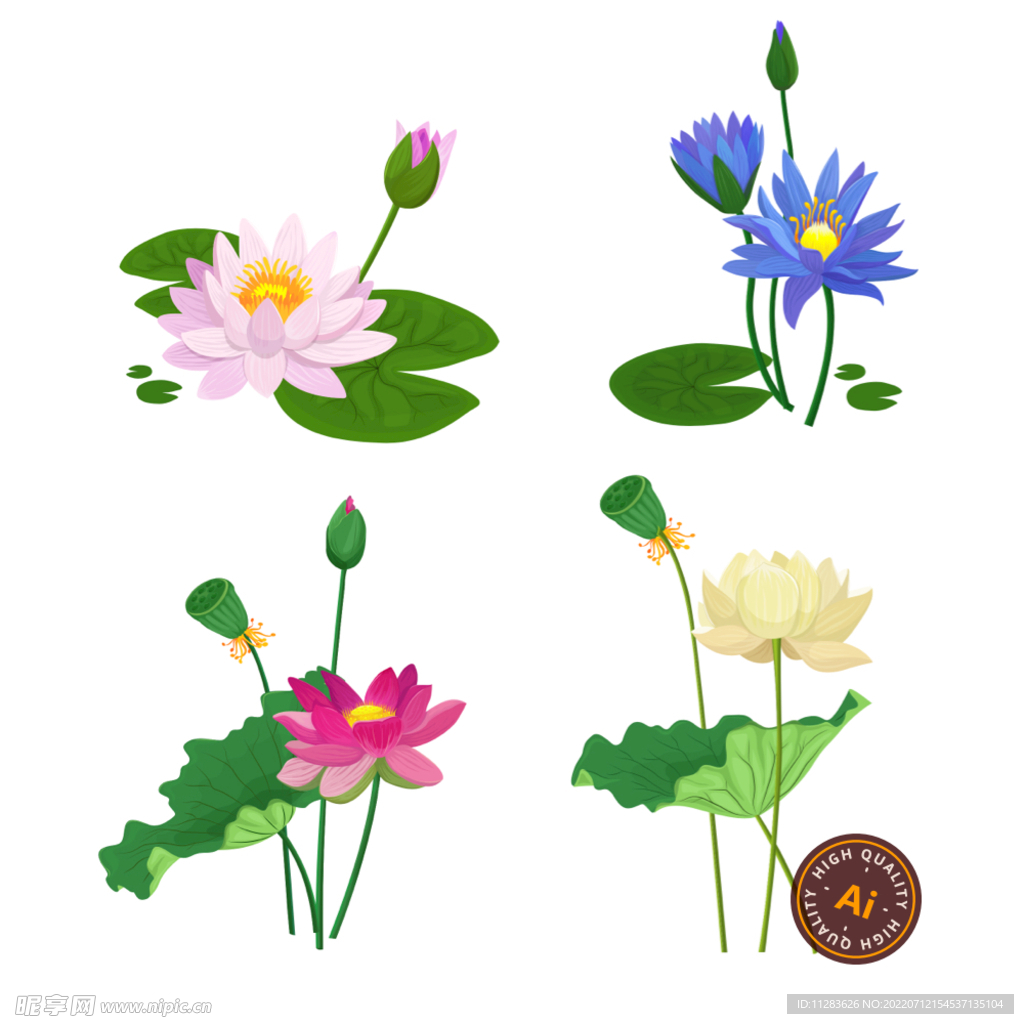 手绘荷花素材