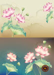 荷花插画海报