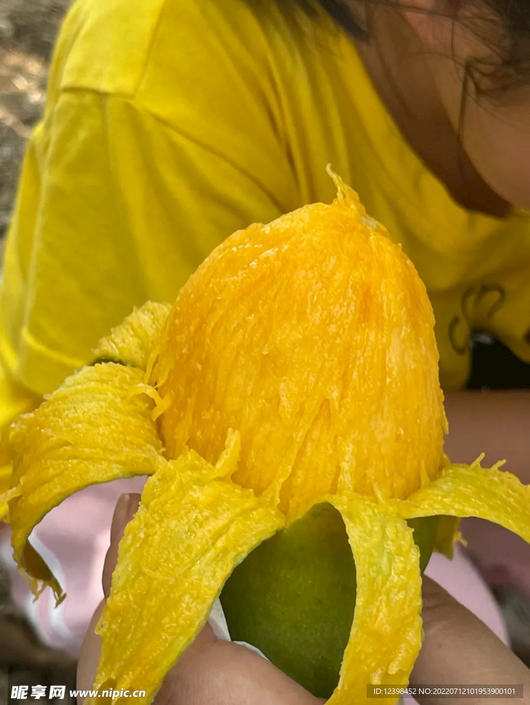 芒果