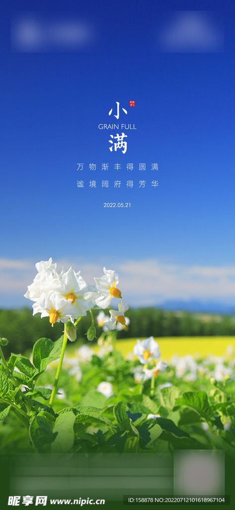 小满