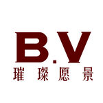 BV字母logo设计