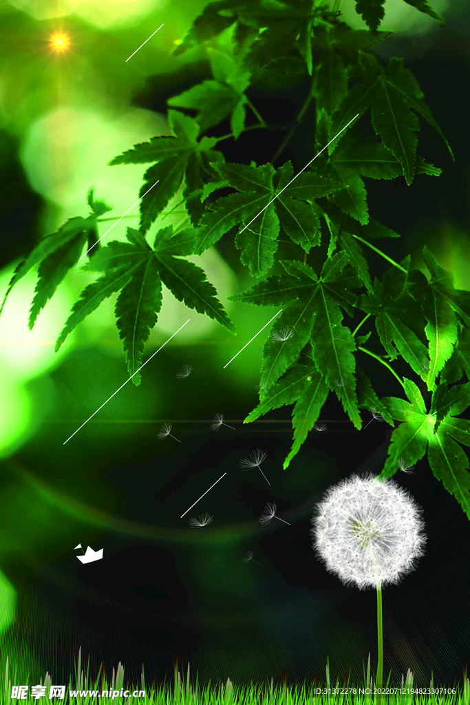  小清新简约创意海报图片