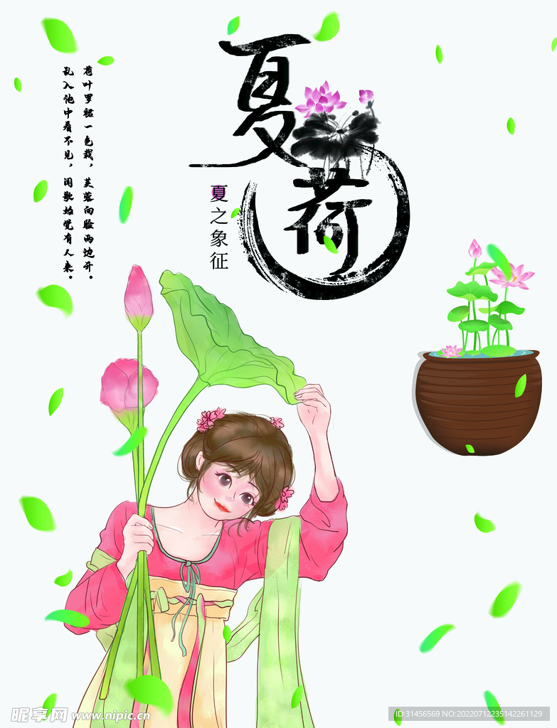 夏荷