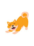  秋田犬 双击图层可编辑