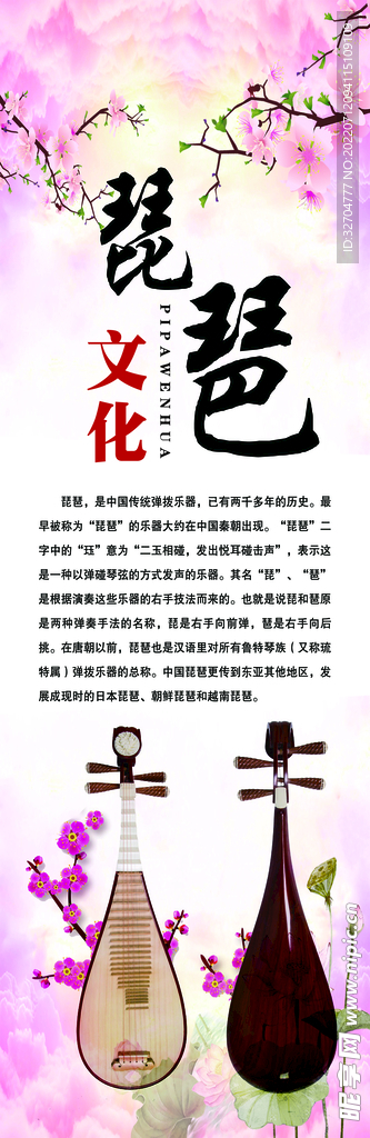 琵琶海报