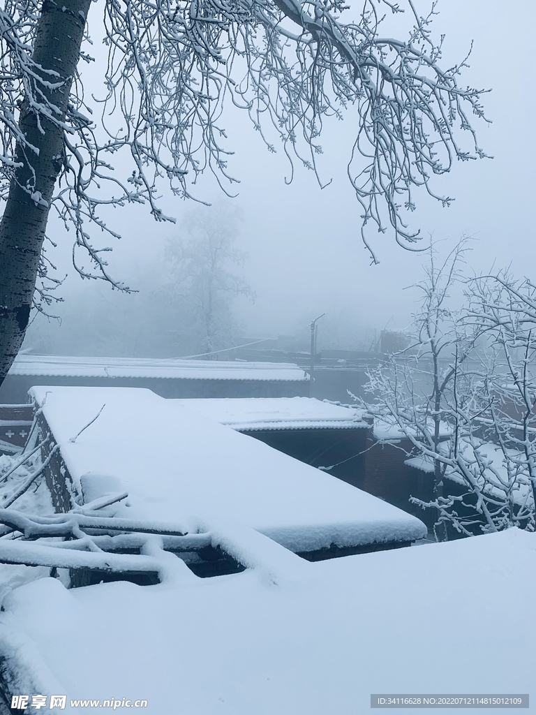 雪景