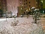   小雪 雪景 