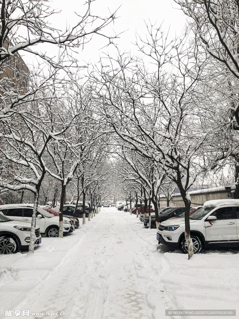 雪景  