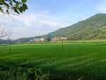 田园风光