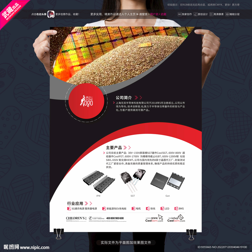 半导体公司简介 