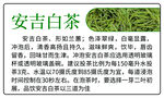 安吉白茶