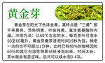 黄金芽
