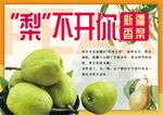 梨不开你
