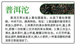 普陀茶