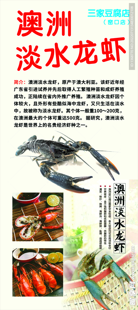 澳洲淡水龙虾  展架海报