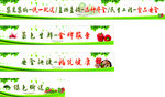 绿色蔬菜配送