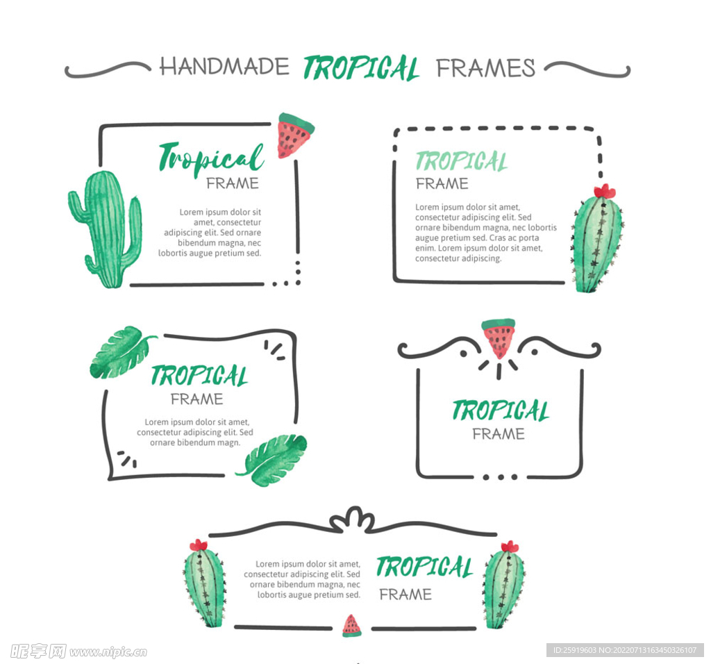 5款彩绘热带植物框架矢量素材