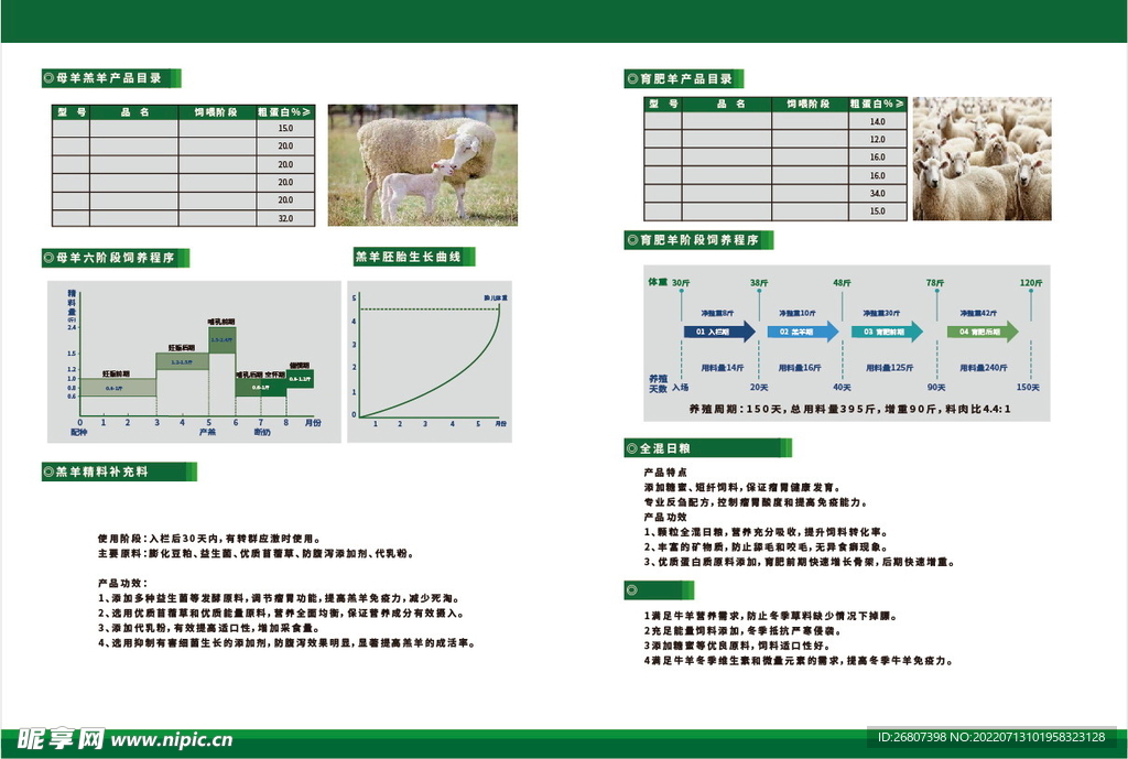 肉羊饲料宣传单