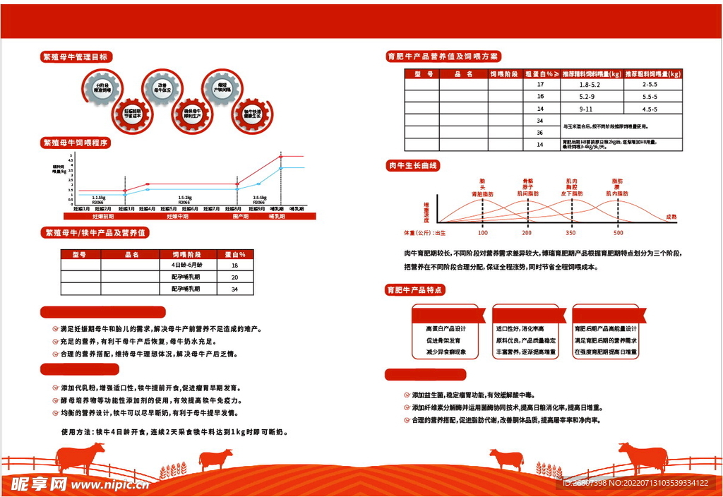 肉牛饲料宣传单