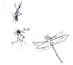 蜻蜓飞艇蟋蟀手绘线稿图片