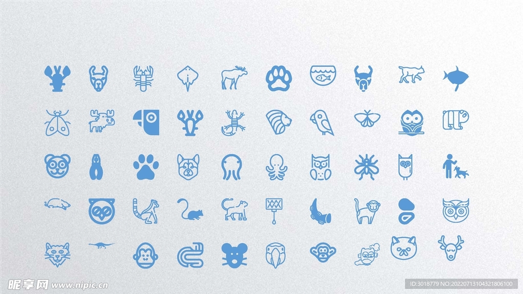 矢量动物 