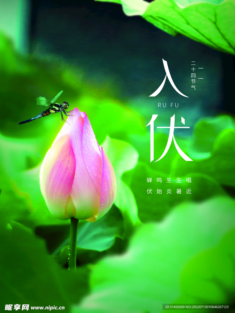入伏