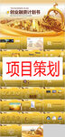 项目策划PPT        