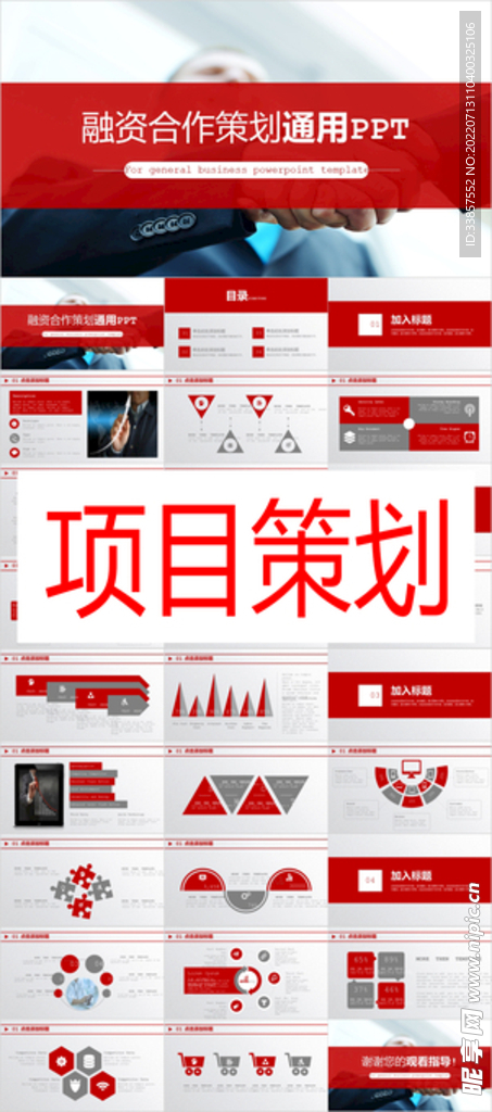 项目策划PPT        