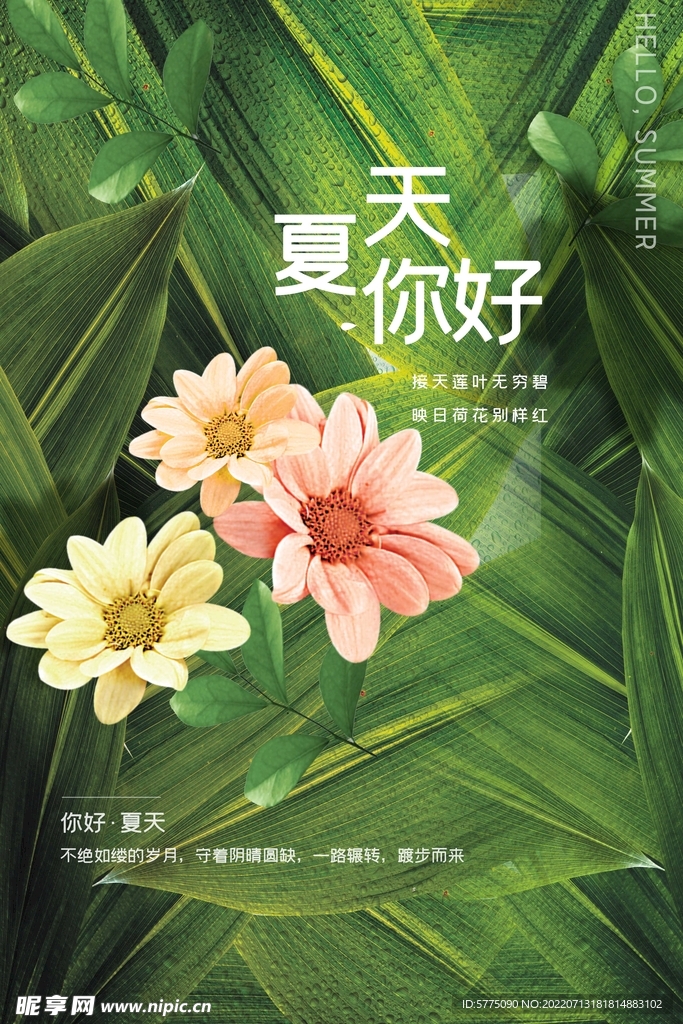 你好夏天