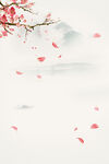 花瓣背景