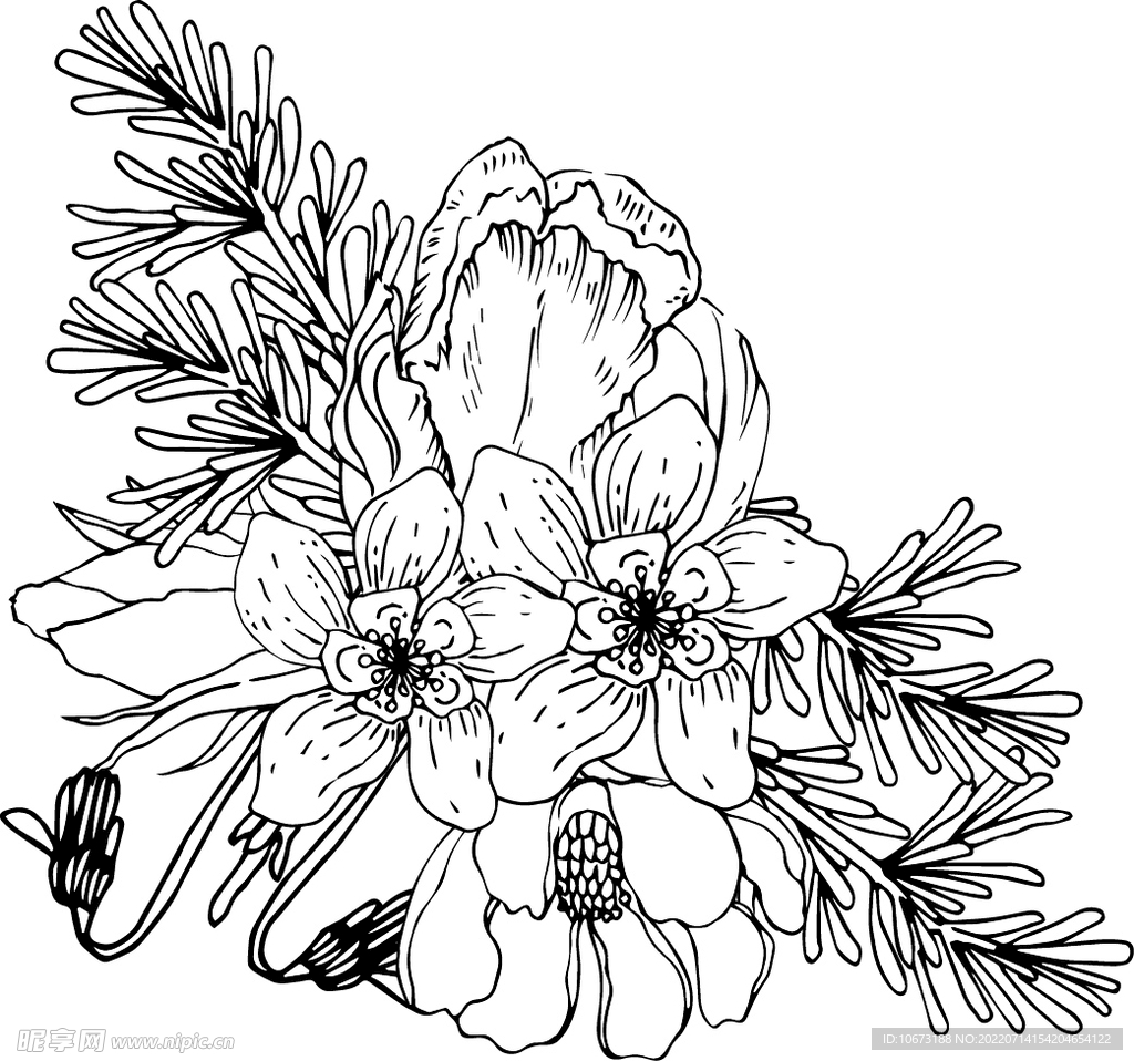 花轮廓
