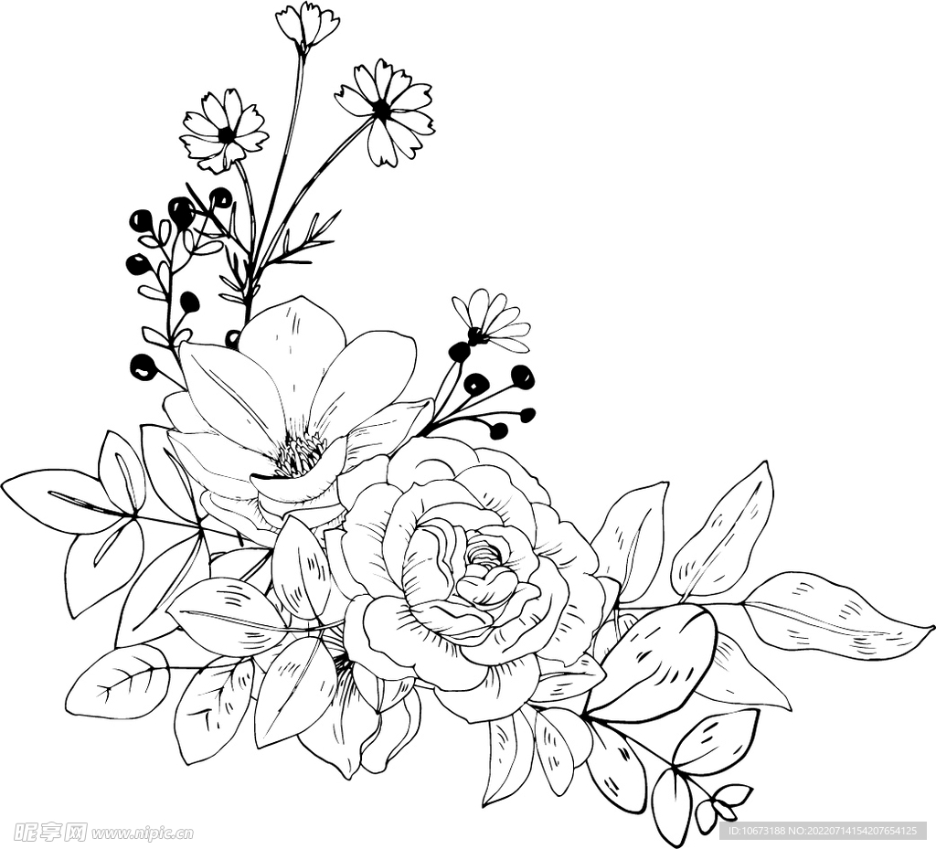 花轮廓 
