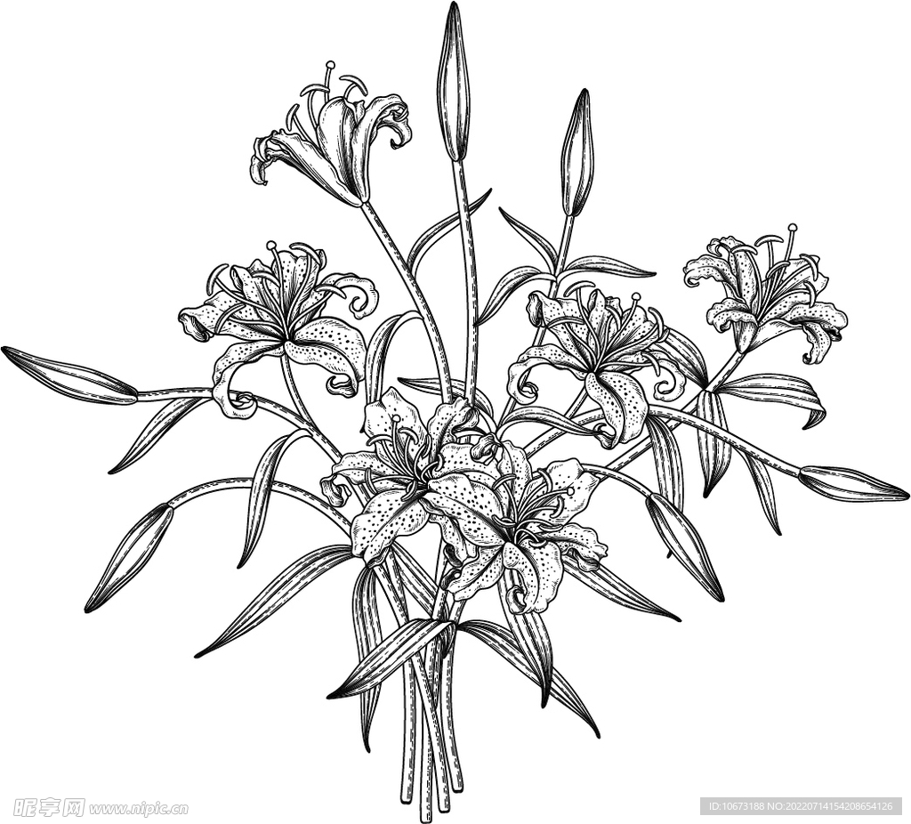 花轮廓