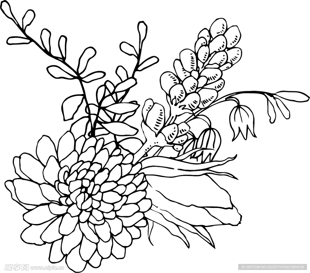 花轮廓 