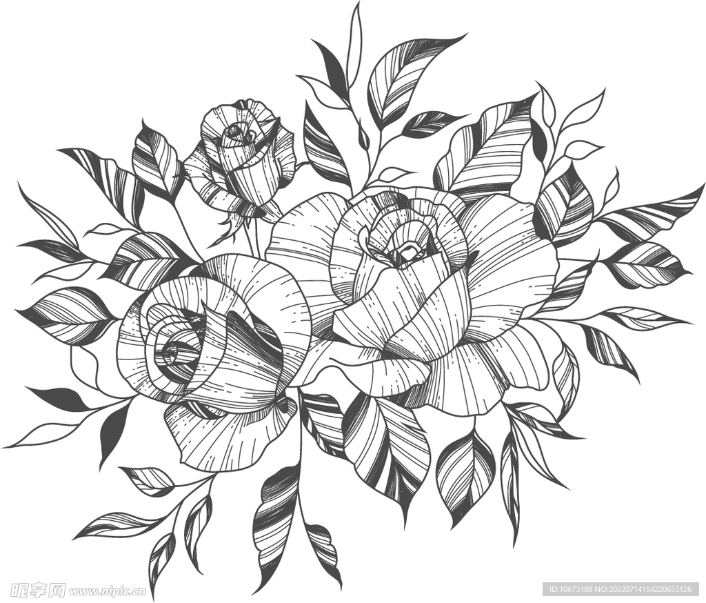 花轮廓 