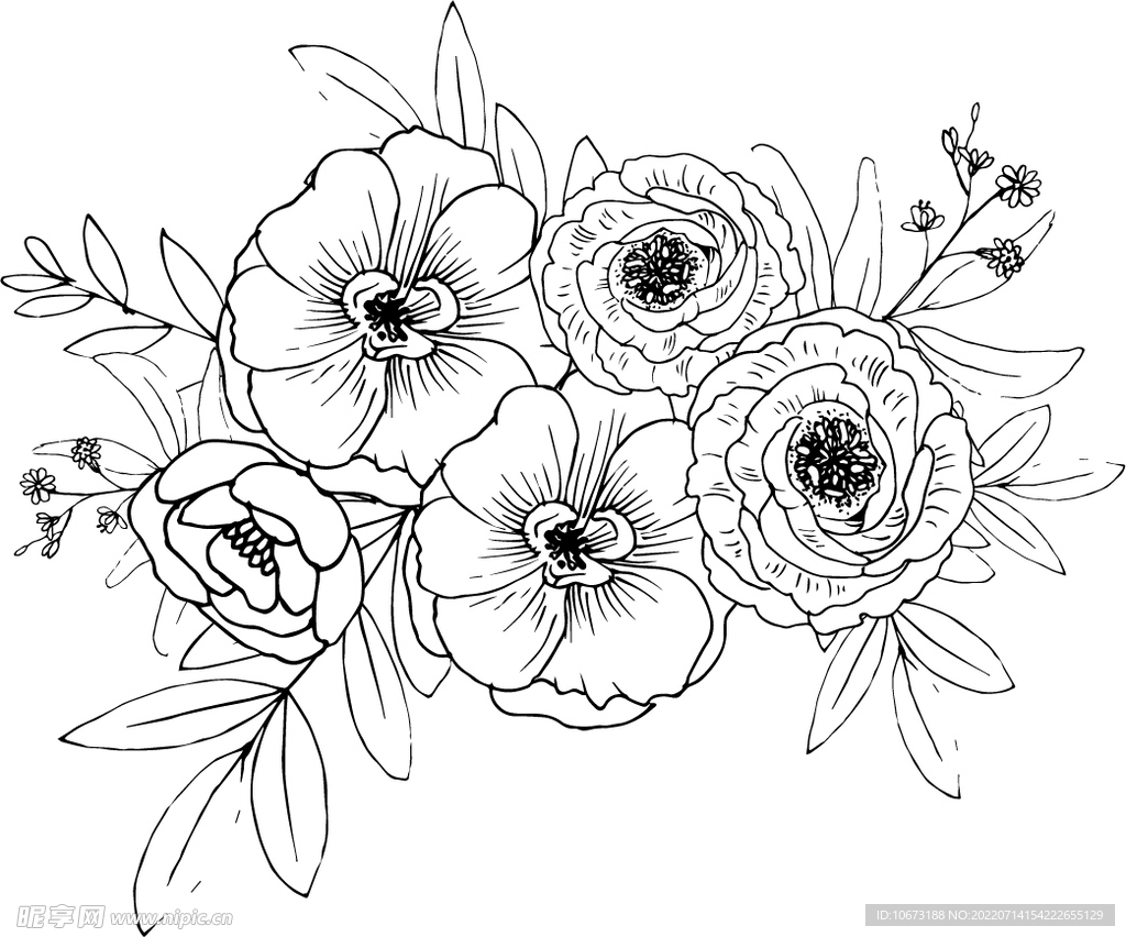 花轮廓 