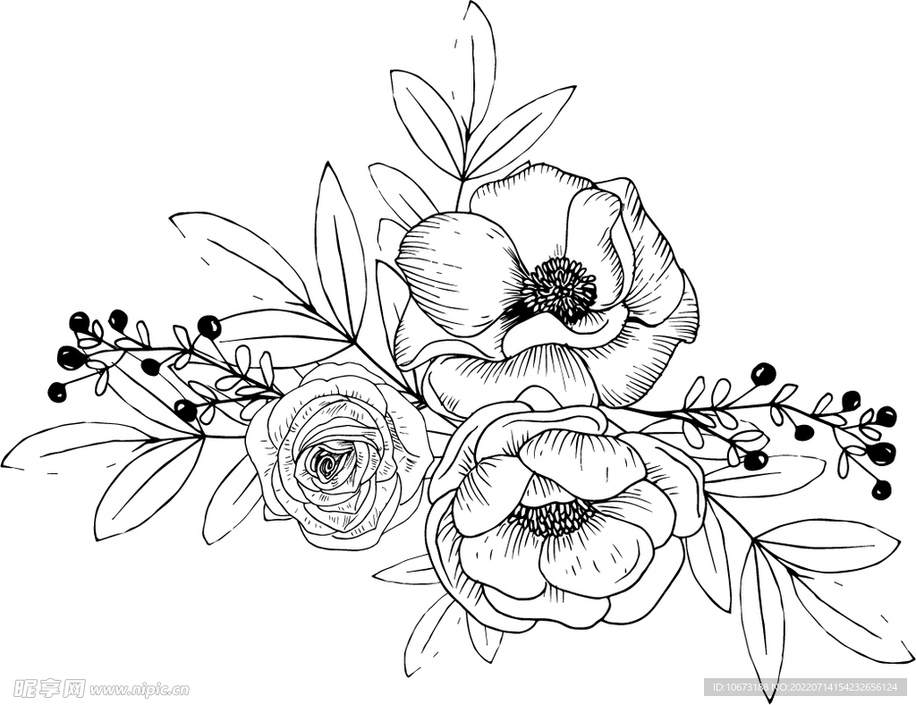 花轮廓 