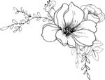 花轮廓 