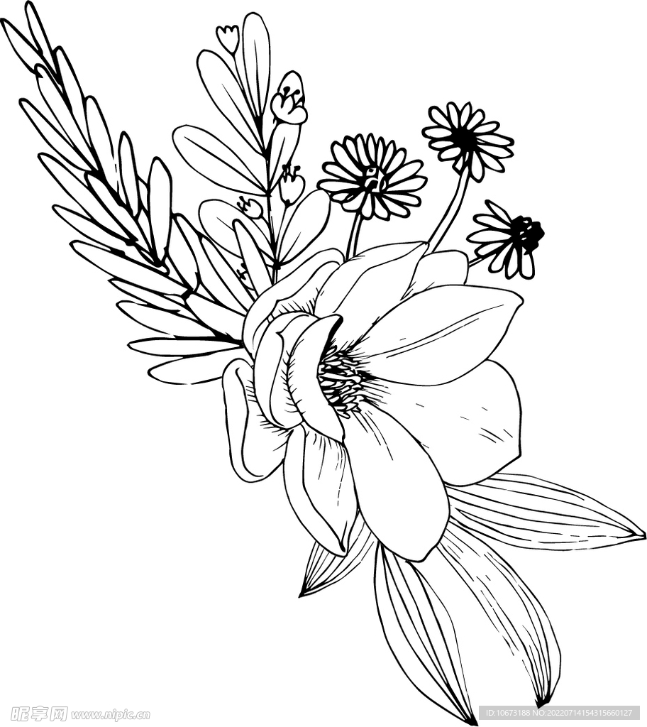 花轮廓
