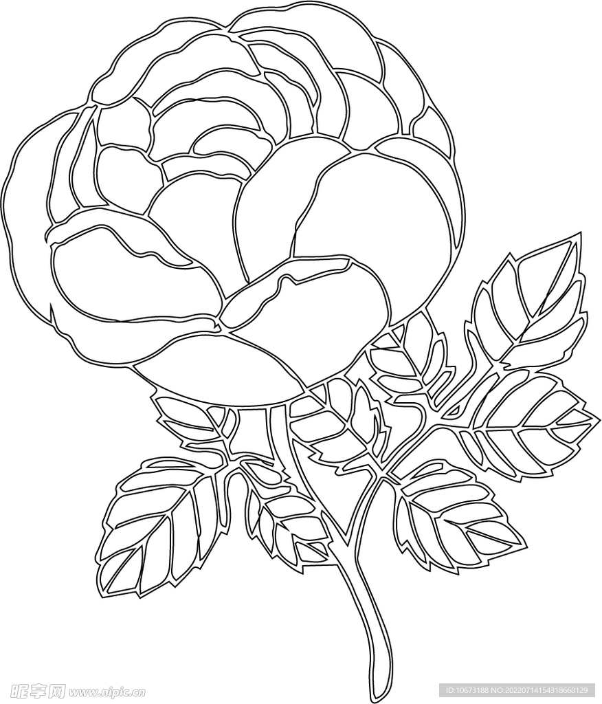 花轮廓