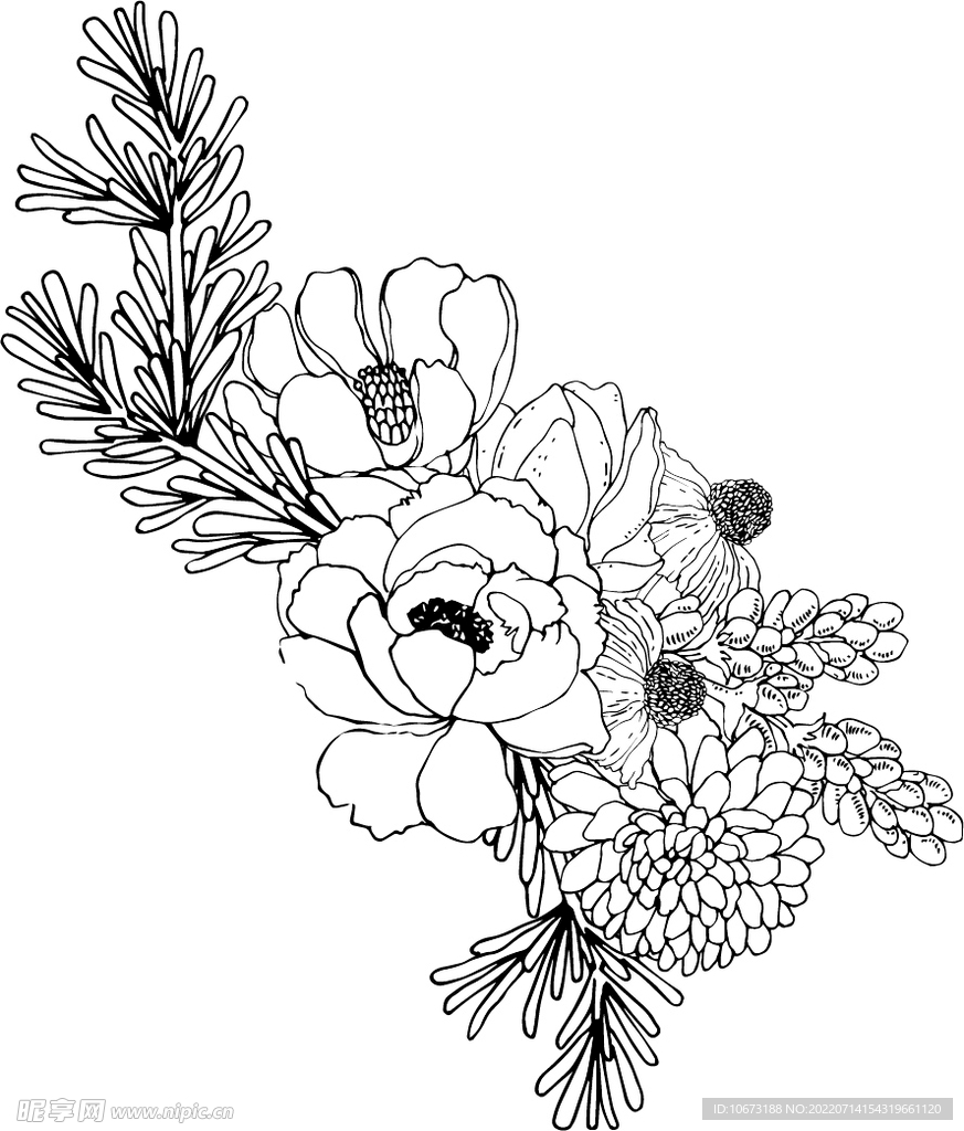 花卉填色图